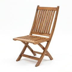 Elegant Modern Chair D-10