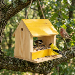 Pine Wood Bird House 🐦🌿